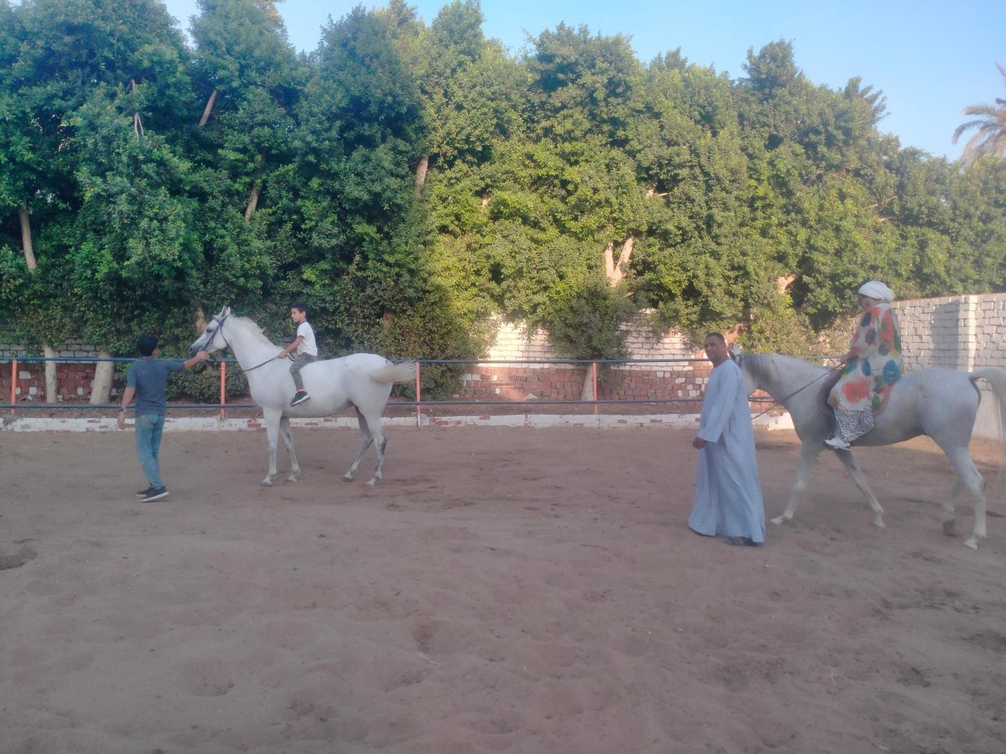 Seror Guest House El Hawamdeya Экстерьер фото